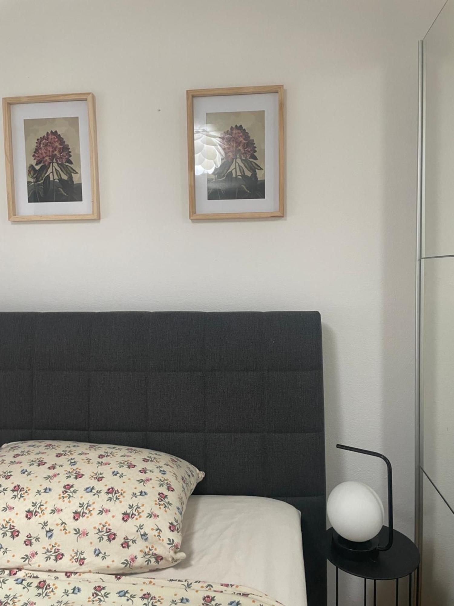 Apartman S M4 With The View Кали Екстериор снимка
